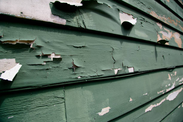 Best Hoarding Cleanup  in Kenner, LA